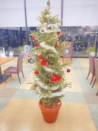 もうすぐクリスマス♪