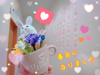 ♡春色になりました♡