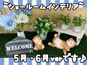 ショールームのインテリアを梅雨仕様に変更しました♪♪