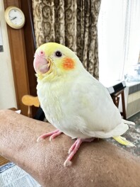 我が家の家族が歌を・・・♪