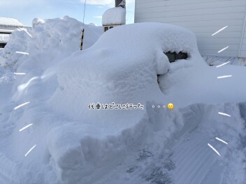 弘前市大雪警報の様子(^▽^;)