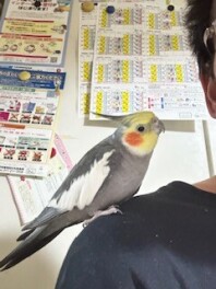 家族の紹介♪