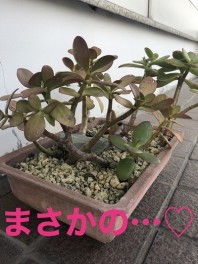 ☆ １０月が来る前に！　☆