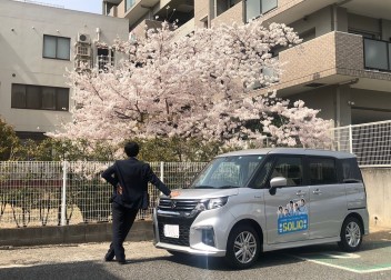 ソリオとお花見♪