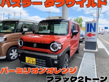 スズキコネクト対応の新ハスラー誕生！　豪華フル装備のタフワイルド誕生！！