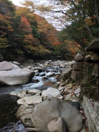 わく散歩～奥津渓編～＆アリーナ吉備津１１月のセール案内！