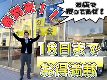 ✿春の大商談会開催中✿