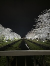 新年度になりました！
