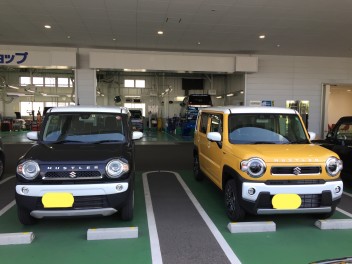 新型ハスラーご納車おめでとうございます(^○^)