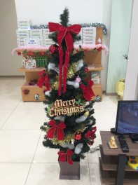 クリスマスツリー登場☆彡