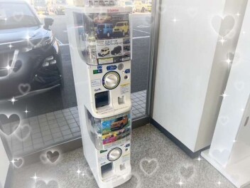 カプセルトイ設置しました♪