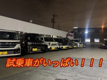 今週末も試乗車がいっぱい！！！
