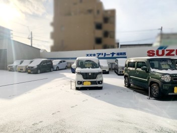 雪がすごい！