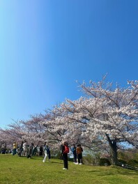 GWも休まず営業しております！！