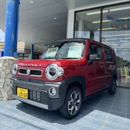 ハスラー登場第二弾