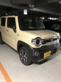 新しい試乗車のお知らせ