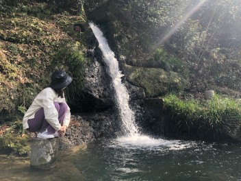 大決算フェア