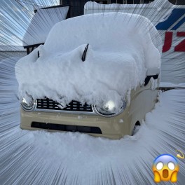 弘前市の積雪量が・・・