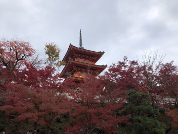 京都に行ってきました！