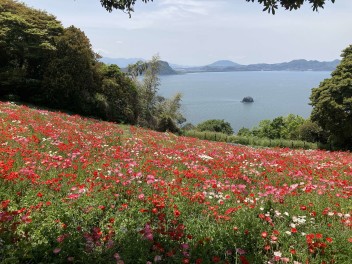 タイヤの交換はお済みですか？