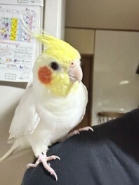 来月で1歳になります♪
