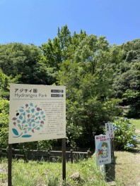 きつねじま日和　第39回