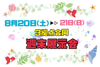 アリーナ可部中央×アリーナ安佐南×アリーナ高陽☆限定☆