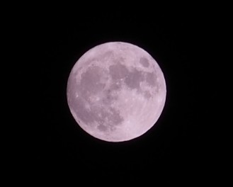 １０月になりました