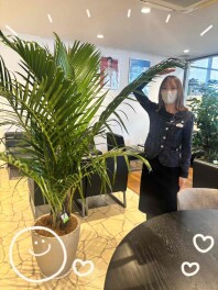 観葉植物を置きました♡