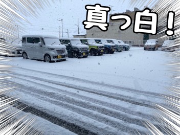 ＪＡＦ入ってますか？