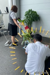 観葉植物のお引越し