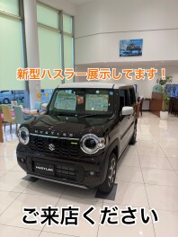 2つの遊べる軽！NEW ハスラー登場！