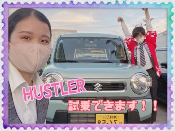 遊べる軽！HUSTLER！！