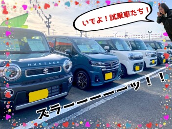 試乗車た～～～くさんご用意しております！！