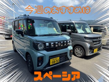 SUMMER FAIR　展示会のご案内！！