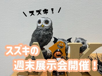 紅葉ドライブにはスズキ車！