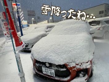 ついに雪降った。