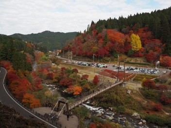 紅葉狩りへ行ってきました