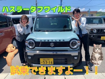 ハスラータフワイルドがあかいわに！！愛車無料点検実施中！