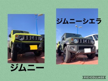 ジムニー、ジムニーシエラの試乗車をご用意しておりますヽ(^o^)丿