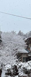 塩害対策２