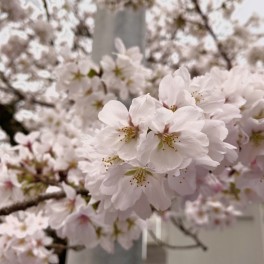 新年度が始まりました！！