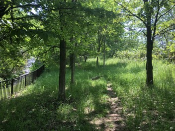 夏が近づいてきましたね！