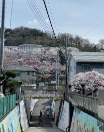 ４月２日～３日✰中古車フェア・フレッシュマンフェアを開催いたしま～す！！