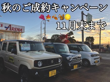 １１月も後半！！ご来店お待ちしております！