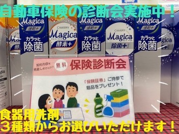 任意保険 診断会実施してます☆
