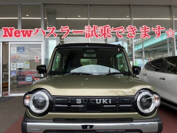 ☆6月最後の展示会☆