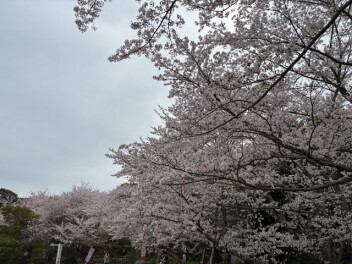 モータロウさんぽ♪