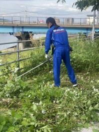 お店裏の草刈り
