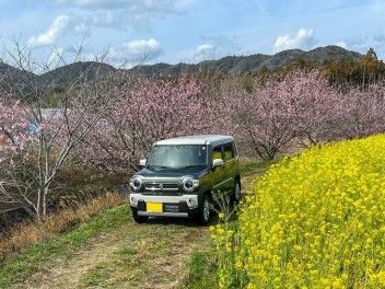 四季のハスラー　～春編～　その２